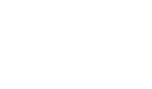 holmes-brothers-logo