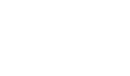 north-face-logo