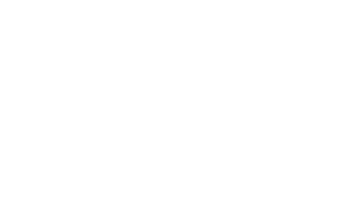ripcurl-logo