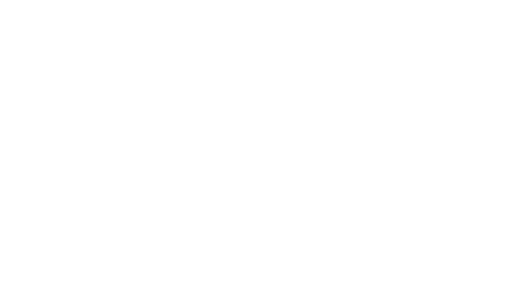 wrangler-logo-02